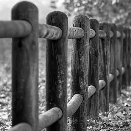 fence