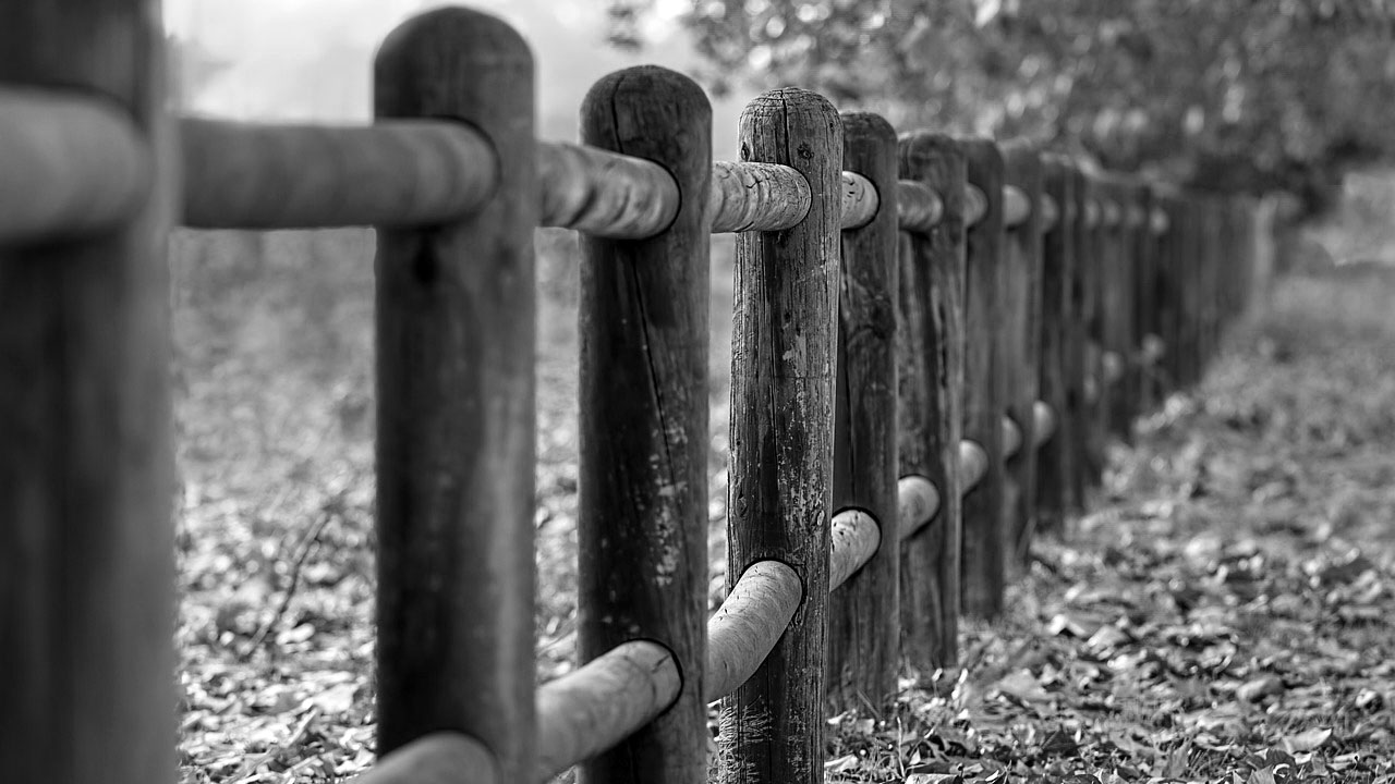 fence